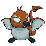 Brown Pteri