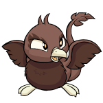Brown Pteri