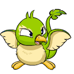 Green Pteri