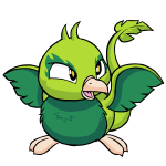 Green Pteri