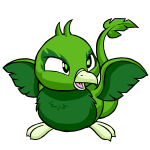Green Pteri