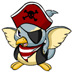 Pirate Pteri