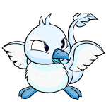 White Pteri