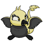 Wasp Yellow Pteri