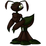 Brown Ruki - (Soil)