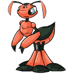 Orange Ruki - (Salmon)