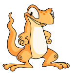 Orange Techo