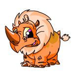 Orange Tonu