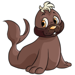 Brown Tuskaninny
