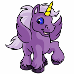 Purple Uni
