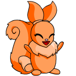 Orange Usul