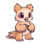 Dawn Orange Vandagyre