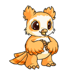 Orange Vandagyre - (Dreamsicle)