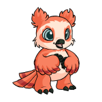 Salmon Orange Vandagyre