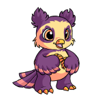 Dusk Purple Vandagyre