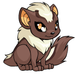 Brown Xweetok