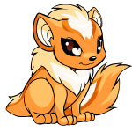 Dreamsicle Orange Xweetok