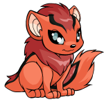 Orange Xweetok - (Salmon)