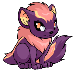Purple Xweetok - (Dusk)