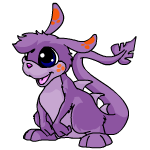 Purple Zafara