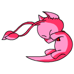 Pink Aisha