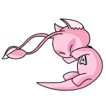 Pink Aisha