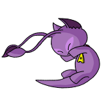Purple Aisha