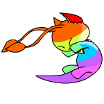 Rainbow Aisha