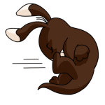 Brown Blumaroo