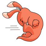 Orange Blumaroo