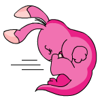 Pink Blumaroo