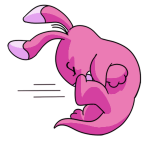 Pink Blumaroo