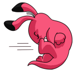 Pink Blumaroo