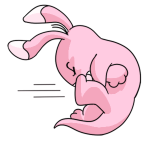 Pink Blumaroo