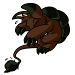 Brown Bori