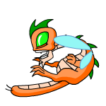 Orange Buzz