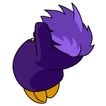 Purple Chia