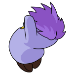 Purple Chia