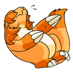 Orange Dirego
