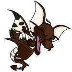 Brown Draik