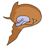 Brown Flotsam