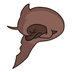 Brown Flotsam