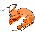 Orange Gelert