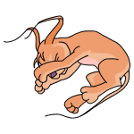 Orange Gelert