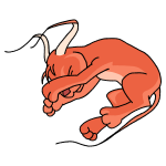 Orange Gelert