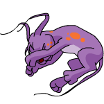 Purple Gelert