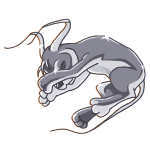 Silver Gelert