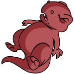 Red Grarrl