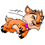Orange Ixi