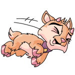 Orange Ixi